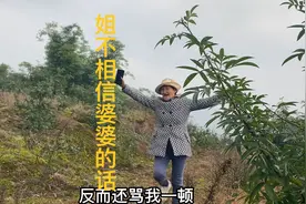 婆婆给姐打电话，以为姐会帮她说话，结果没得到姐的认同。视频封面