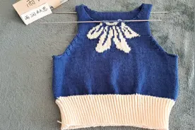 人见人爱的蝴蝶花提花坎肩，教程（四）领子袖口织法视频封面