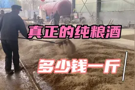 真正的粮食酒一斤多少钱？酿酒大叔告诉你真实价格，真便宜视频封面