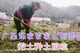 干活的样子很狼狈，种完了土豆太累了回来吃点白米粥视频封面
