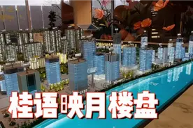 福州五里亭桂语映月楼盘：绿城美的合作，15栋近1500套的大社区视频封面