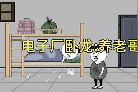当卧龙来到电子厂，上班是不可能上班的，我就是来养老的。视频封面