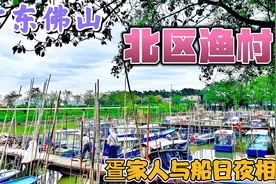 广东佛山最后一个完全渔民村落，远离城市喧嚣，探寻最美疍家水乡视频封面