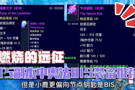 魔兽世界怀旧服：盘点P2阶段奥法顶级BIS装备，双手好于单副手视频封面