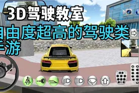 3D驾驶教室：这款游戏的人物可以自由的上下车【附游戏下载地址】视频封面