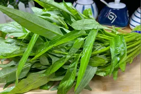 炒空心菜时，先放油是大错！大厨教你一招，鲜香嫩滑翠绿不发黑视频封面