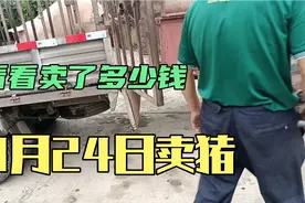 9月24日卖了5头猪，平均220斤，赔钱也得卖视频封面