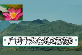 广西十大名地《莲花》视频封面