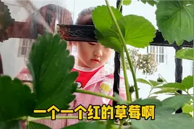 小宝贝今天去学习还学了些东西，真不错。视频封面