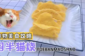 操作简单，猫咪爱吃，一个蛋一块鸡胸肉就能搞定！#自制猫饭视频封面