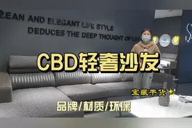 CBD22-1轻奢沙发，耐磨耐脏视频封面