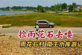 去南京横梁镇捡雨花石，在南王水库边堆积成山，还有成群的大白鹅视频封面