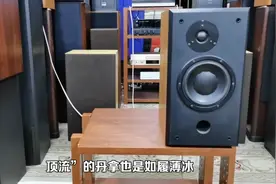 丹拿成国产强者？经典外观+震撼音质，这款HiFi音箱值得选择吗？视频封面