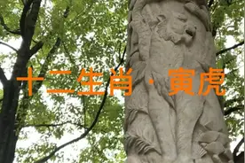 十二生肖·虎，天干地支，子丑寅卯辰巳午未辛酉戌亥视频封面