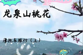 大家期待的龙泉山故里桃花，值得大家出发哟~提前为大家踩了点哈~视频封面