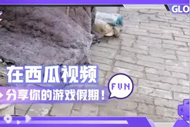 欧买噶哇哦欧买噶欧买噶欧买噶