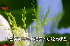 黄芪与丹参搭配的功效 且看且珍惜视频封面