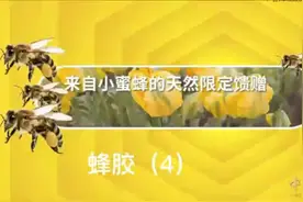 蜂胶对人体的好处