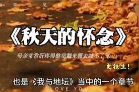 那就去《秋天的怀念》中一起感受史铁生对母亲的那份深情吧……