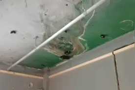 防水师傅告诉您一种简单方便快速维修房顶漏水的方法视频封面