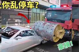 让你乱停车？豪横！视频封面