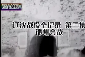 《生死对决：辽沈战役全记录3》视频封面
