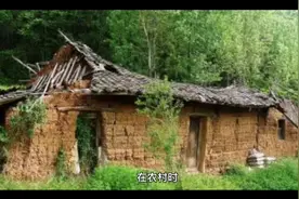 我们的知青岁月——难忘的农村插队生活视频封面