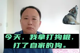 吃里扒外，今天我拿打狗棍打了自家的一条狗。视频封面