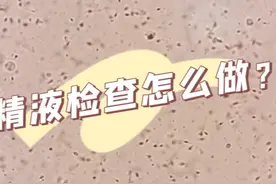 精液检查怎么做？视频封面
