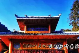 广西百色红叶国家森林公园风景名胜视频封面