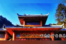 广西百色红叶国家森林公园风景名胜视频封面