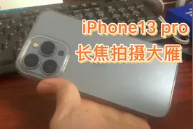苹果还是华为？用三个摄像头的iPhone13 pro拍完大雁后我清楚了视频封面