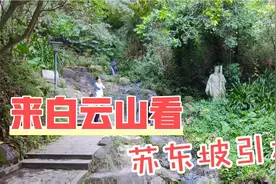 在广州看苏东坡引水的足迹，老婆爬山爬得筋疲力尽，反应太搞笑视频封面