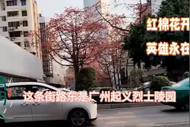 红棉花开  英雄永在