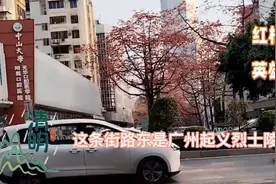 红棉花开  英雄永在