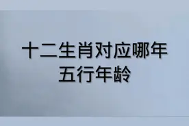 十二生肖对应哪年.五行年龄:看看有没有您！？视频封面