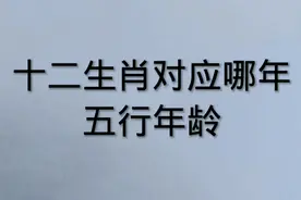 十二生肖对应哪年.五行年龄:看看有没有您！？视频封面