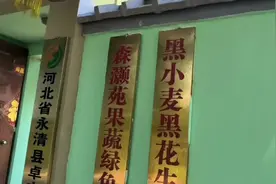 农产品加工项目大全，未来发展趋势如何，从五个方面进行分析。视频封面