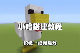 如何搭建一只可爱的小鸡！#我的世界