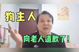 安阳的狗主人向老人道歉了！简单的一个事为什么拖了2个月？