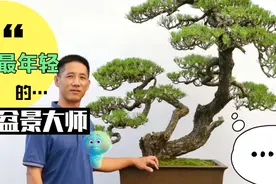 中国最年轻的盆景艺术大师、实力派盆景作家张志刚，励志园盆景园视频封面