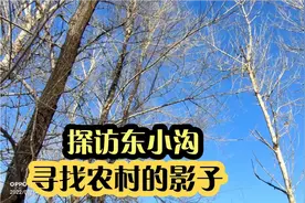 吉林省白山市东山村东小沟，寻找五六十年代农村的影子。视频封面