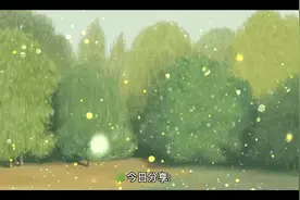 一个人想成为大树的五个条件视频封面