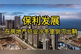 保利发展：在房地产行业冷冬里剑刃出鞘视频封面