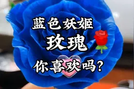 蓝色妖姬玫瑰花的制作教程，喜欢的可以自己动手制作了视频封面