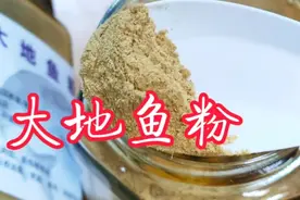 “大地鱼粉”是广式云吞的灵魂，味道鲜美，有了它在家就能做！视频封面