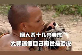 僧人把老虎当猫养，深信老虎不伤人，坚信老虎是他们的祖先转世视频封面