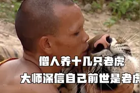 僧人把老虎当猫养，深信老虎不伤人，坚信老虎是他们的祖先转世视频封面