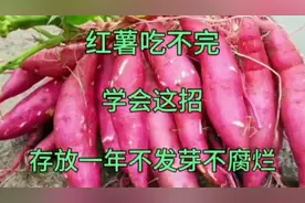 红薯吃不完，用这种水喷一下再保存，存上一年不发芽不会坏口感好