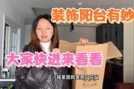 莉莉为了装饰阳台节省空间于是买了六个花盆 成果很满意视频封面